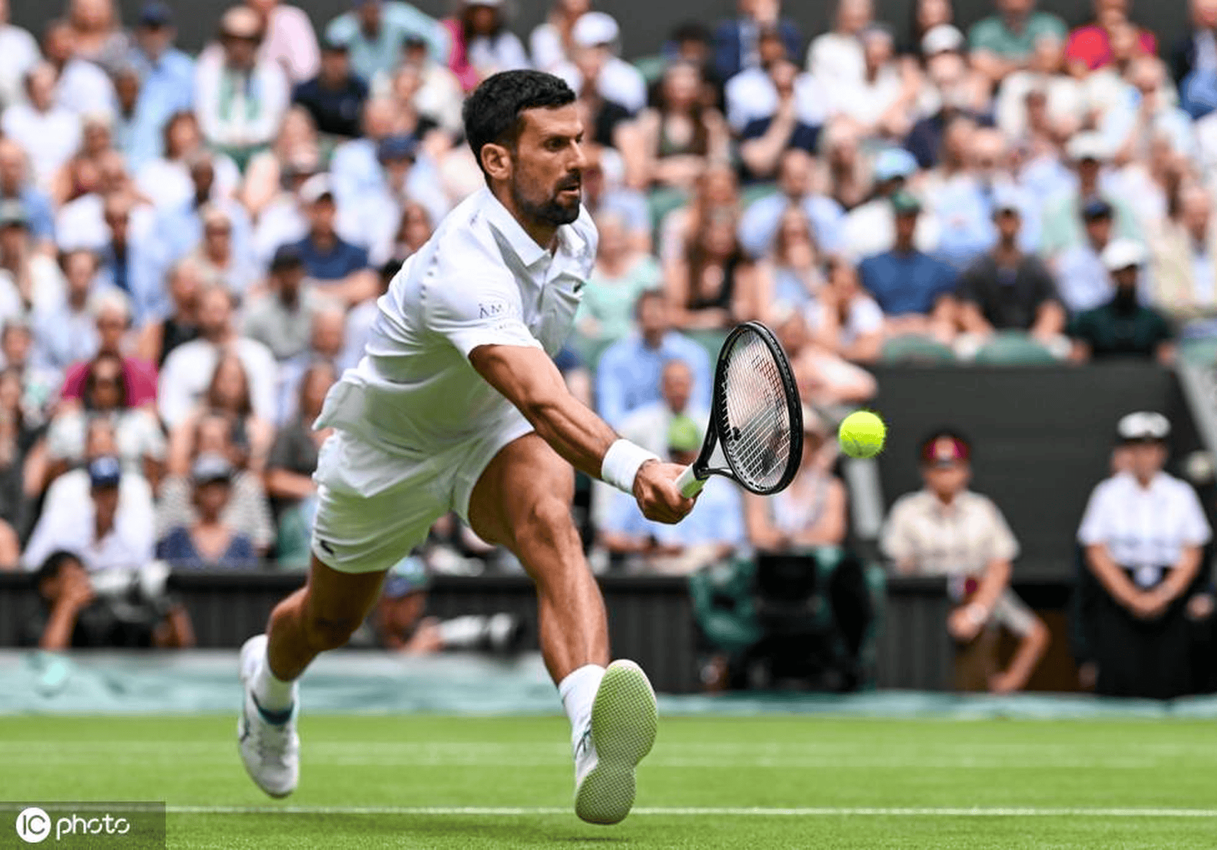 关于德约科维奇在加拿大队比赛中突破纪录，大胜引发热议！的信息